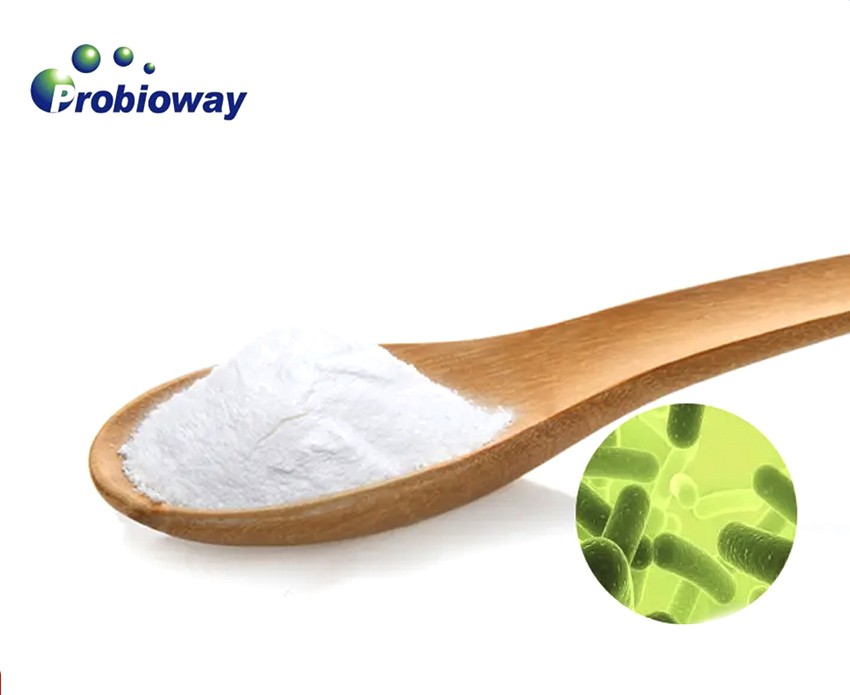 lactobacillus johnsonii lactobacillus johnsonii