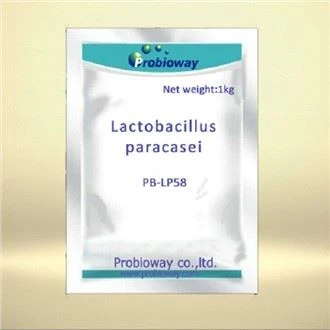 Τι είναι τα μεταβιοτικά Lactobacillus Paracasei; Μια ολοκληρωμένη ανάλυση των...