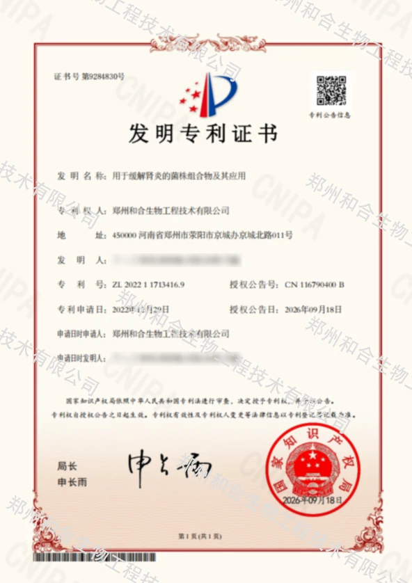 Nephritis bacterial strain composition Nephritis bacterial strain composition